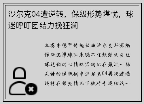 沙尔克04遭逆转，保级形势堪忧，球迷呼吁团结力挽狂澜