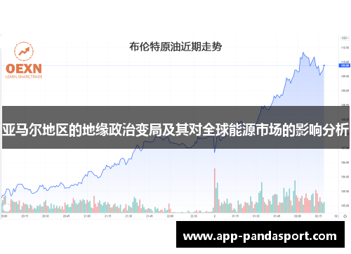 亚马尔地区的地缘政治变局及其对全球能源市场的影响分析